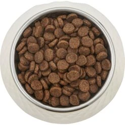 Frisco Hammered Melamine Stainless Steel Dog Bowl 11 Frisco Hammered Melamine Stainless Steel Dog Bowl -Frisco 232083 PT3. AC SS1800 V1609885089
