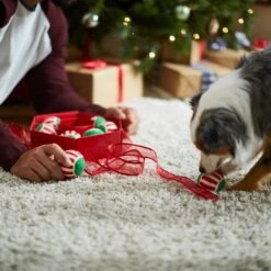 Frisco Holiday Wreath Fetch Squeaky Tennis Ball Dog Toy 13 Frisco Holiday Wreath Fetch Squeaky Tennis Ball Dog Toy -Frisco 233189 PT5. AC SS1800 V1601919657