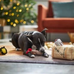 Frisco Holiday Fragile Box Hide & Seek Puzzle Plush Squeaky Dog Toy 13 Frisco Holiday Fragile Box Hide & Seek Puzzle Plush Squeaky Dog Toy -Frisco 233274 PT4. AC SS1800 V1665759767