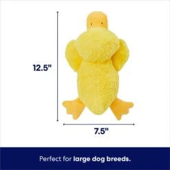Frisco Duck Plush Squeaky Dog Toy 9 Frisco Duck Plush Squeaky Dog Toy -Frisco 233613 PT1. AC SS1800 V1695671062