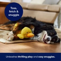 Frisco Duck Plush Squeaky Dog Toy 12 Frisco Duck Plush Squeaky Dog Toy -Frisco 233613 PT4. AC SS1800 V1695670688