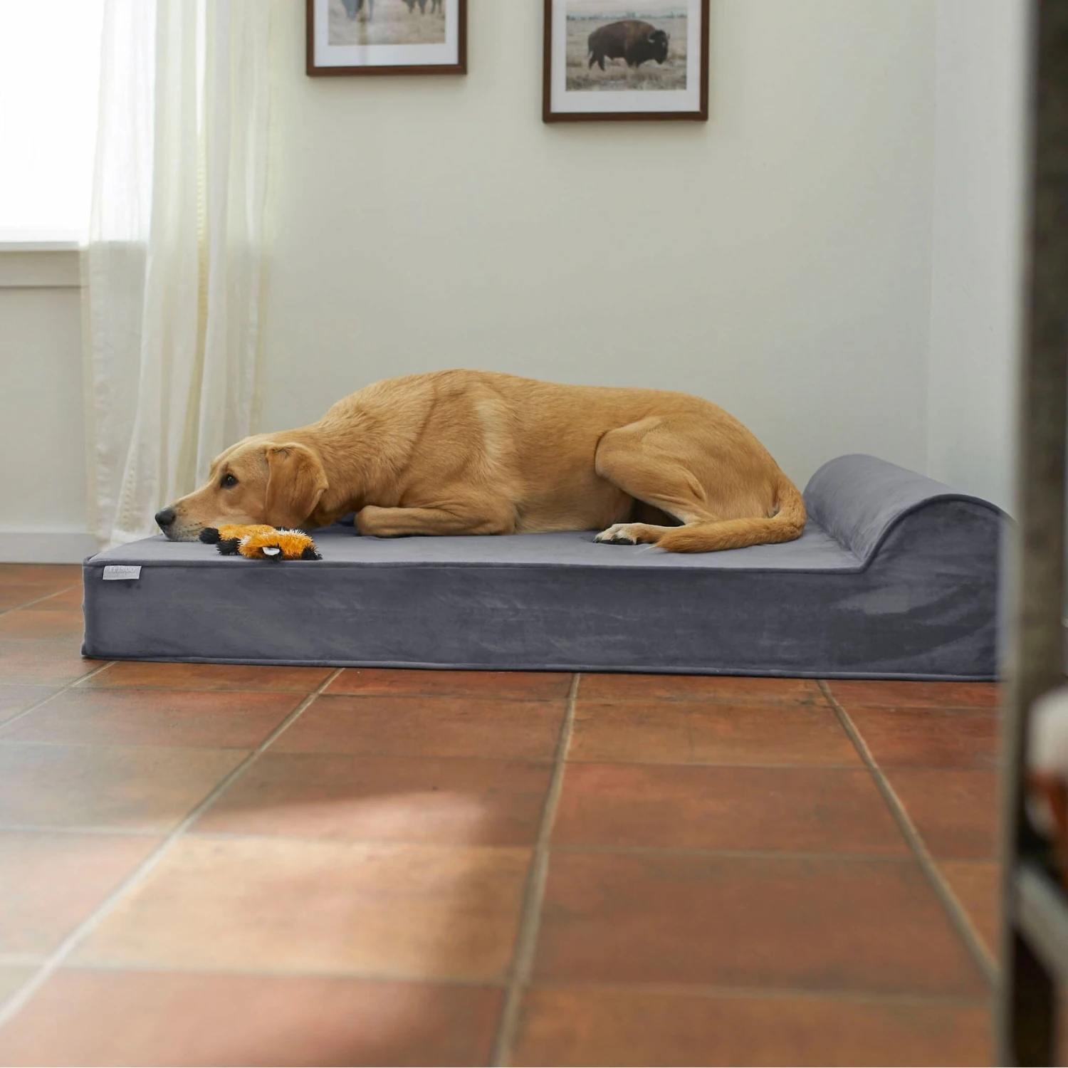 Frisco Orthopedic Chaise Pillow Dog Bed W/Removable Cover 3 Frisco Orthopedic Chaise Pillow Dog Bed W/Removable Cover
