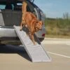 Frisco Bi-Fold Travel Dog Car Ramp 1 Frisco Bi-Fold Travel Dog Car Ramp -Frisco 235934 MAIN. AC SS1800 V1606230153