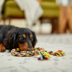 Frisco Pretzel Rope Dog Toy 7 Frisco Pretzel Rope Dog Toy -Frisco 242141 PT2. AC SS1800 V1605208795