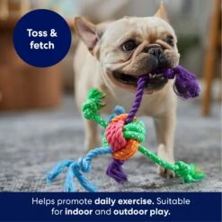 Frisco Fetch Colorful Ball Knot Rope Dog Toy 8 Frisco Fetch Colorful Ball Knot Rope Dog Toy -Frisco 242159 PT3. AC SS1800 V1695242179