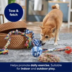 Frisco Rope Multipack For Medium Dog Toys 8 Frisco Rope Multipack For Medium Dog Toys -Frisco 243978 PT3. AC SS1800 V1695241973