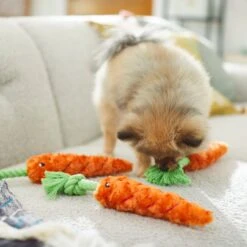 Frisco Easter Carrot Plush With Rope Dog Toy 10 Frisco Easter Carrot Plush With Rope Dog Toy -Frisco 248023 PT5. AC SS1800 V1608769360