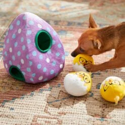 Frisco Spring Easter Egg Hide & Seek Plush Squeaky Dog Toy 12 Frisco Spring Easter Egg Hide & Seek Plush Squeaky Dog Toy -Frisco 248037 PT5. AC SS1800 V1608763654