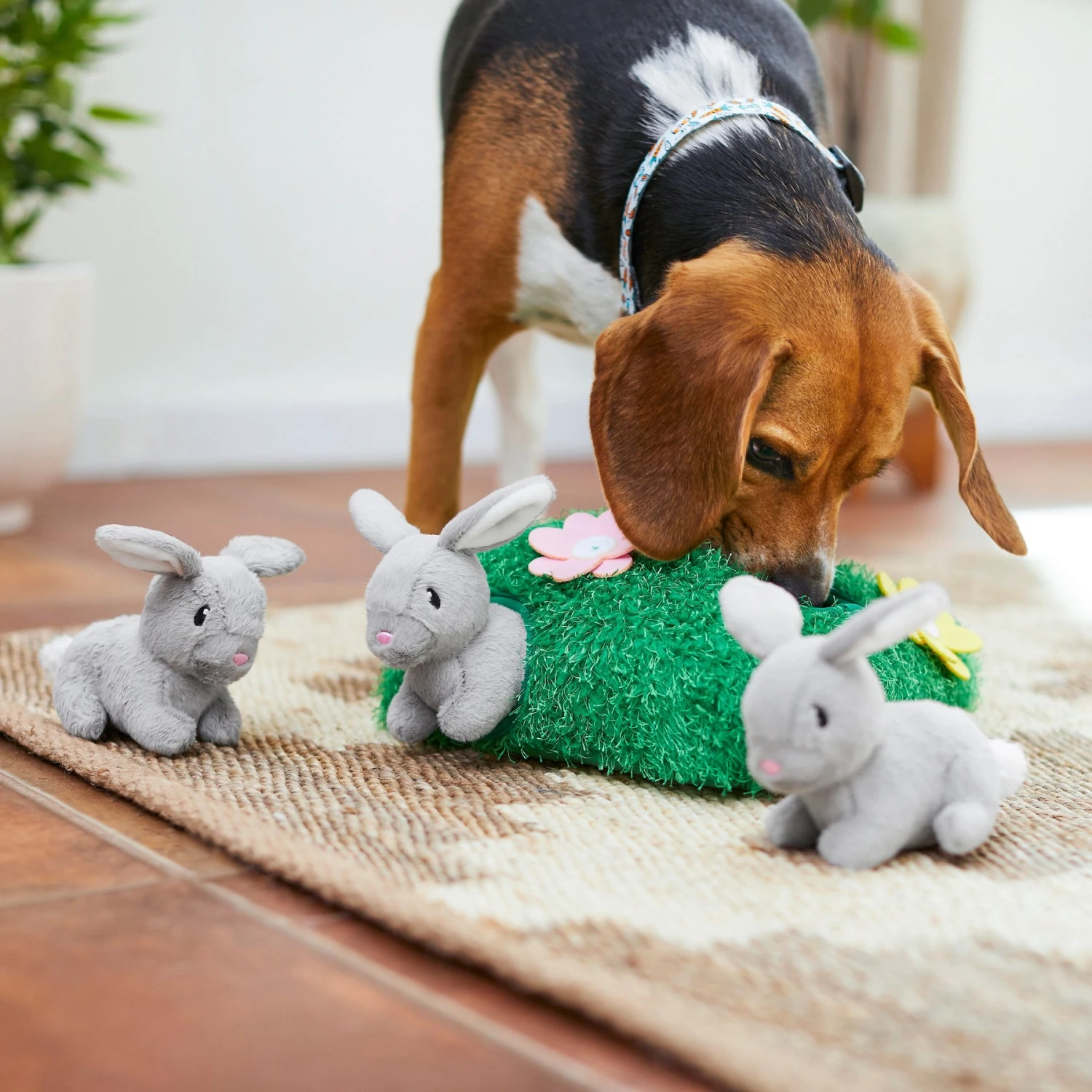 Frisco Spring Bunny Burrow Hide & Seek Plush Squeaky Dog Toy 7 Frisco Spring Bunny Burrow Hide & Seek Plush Squeaky Dog Toy - Image 5