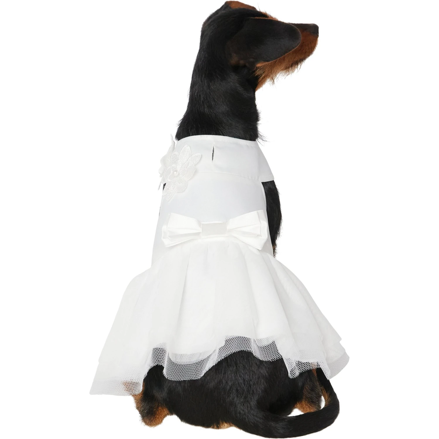 Frisco Formal Dog Wedding Dress 3 Frisco Formal Dog Wedding Dress