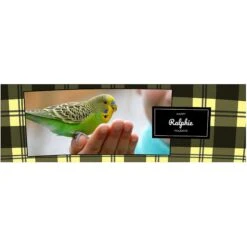 Frisco Double Walled Red Plaid Personalized Tumbler, 30-oz Cup 11 Frisco Double Walled Red Plaid Personalized Tumbler, 30-oz Cup -Frisco 249346 PT2. AC SS1800 V1602029161