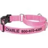 Frisco Solid Nylon Personalized Martingale Dog Collar 2 Frisco Solid Nylon Personalized Martingale Dog Collar -Frisco 249561 MAIN. AC SS1800 V1699636209