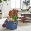 Frisco Rectangle Collapsible Pet Toy Storage Bin, Navy Herringbone 2 Frisco Rectangle Collapsible Pet Toy Storage Bin, Navy Herringbone -Frisco 250574 MAIN. AC SS1800 V1615242905