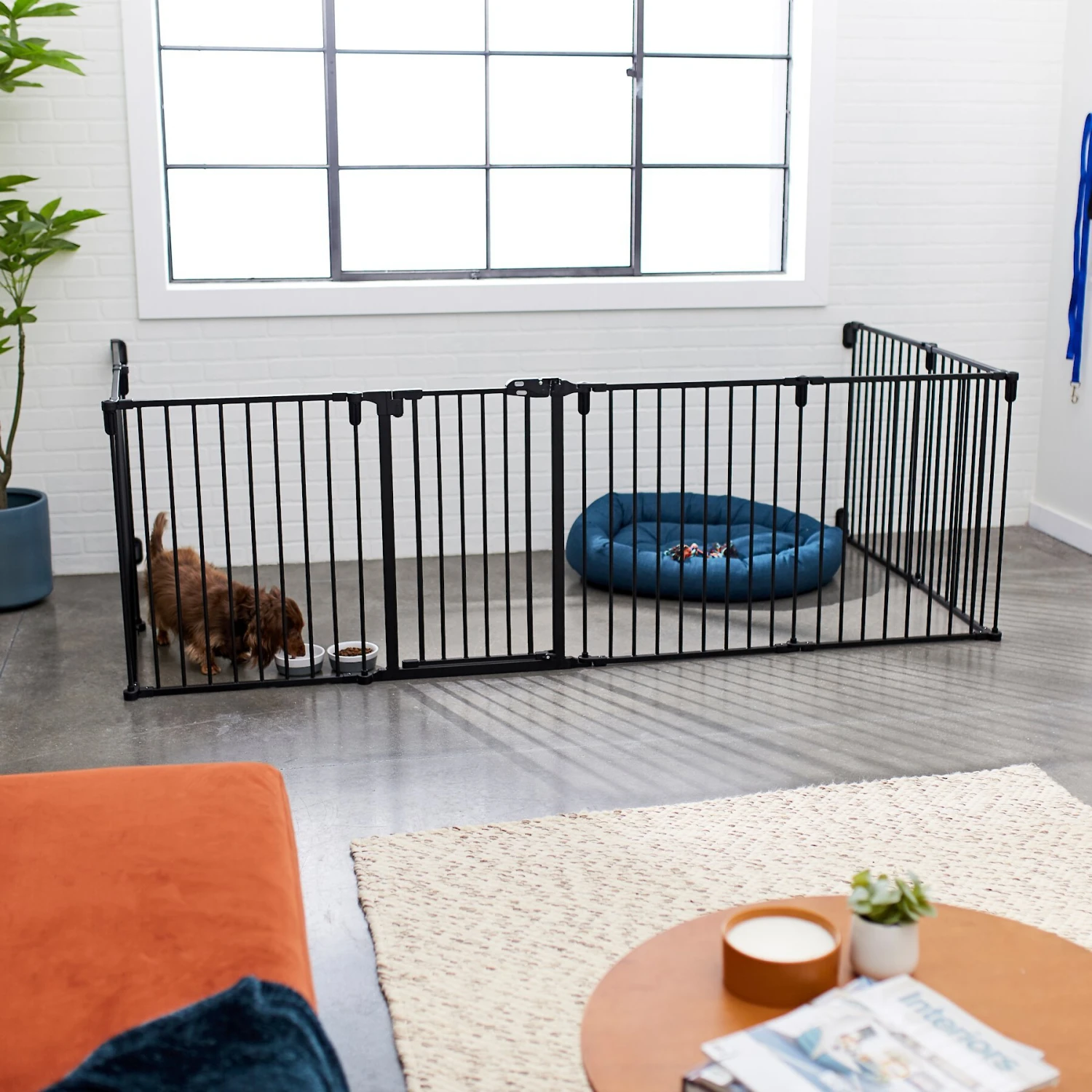 Frisco Steel 8-Panel Configurable Dog Gate & Playpen 6 Frisco Steel 8-Panel Configurable Dog Gate & Playpen - Image 4