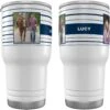 Frisco Double Walled Preppy Stripes Personalized Tumbler, 30-oz Cup 1 Frisco Double Walled Preppy Stripes Personalized Tumbler, 30-oz Cup -Frisco 250751 MAIN. AC SS1800 V1606680435