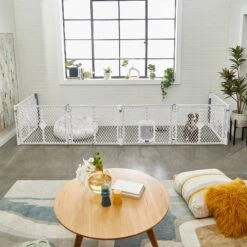 Frisco 6-Panel Plastic Exercise Dog Playpen, Light Gray 16 Frisco 6-Panel Plastic Exercise Dog Playpen, Light Gray -Frisco 252045 PT6. AC SS1800 V1611090517