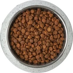 Frisco Quartz Design Stainless Steel Dog & Cat Bowl 16 Frisco Quartz Design Stainless Steel Dog & Cat Bowl -Frisco 253044 PT5. AC SS1800 V1616526766