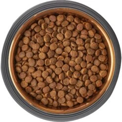 Frisco Matte Black Design Light Copper Stainless Steel Dog & Cat Bowl 15 Frisco Matte Black Design Light Copper Stainless Steel Dog & Cat Bowl -Frisco 253051 PT5. AC SS1800 V1616526794
