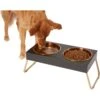 Frisco Copper Stainless Steel Elevated Foldable Double Dog & Cat Bowls 2 Frisco Copper Stainless Steel Elevated Foldable Double Dog & Cat Bowls -Frisco 253060 MAIN. AC SS1800 V1616073913