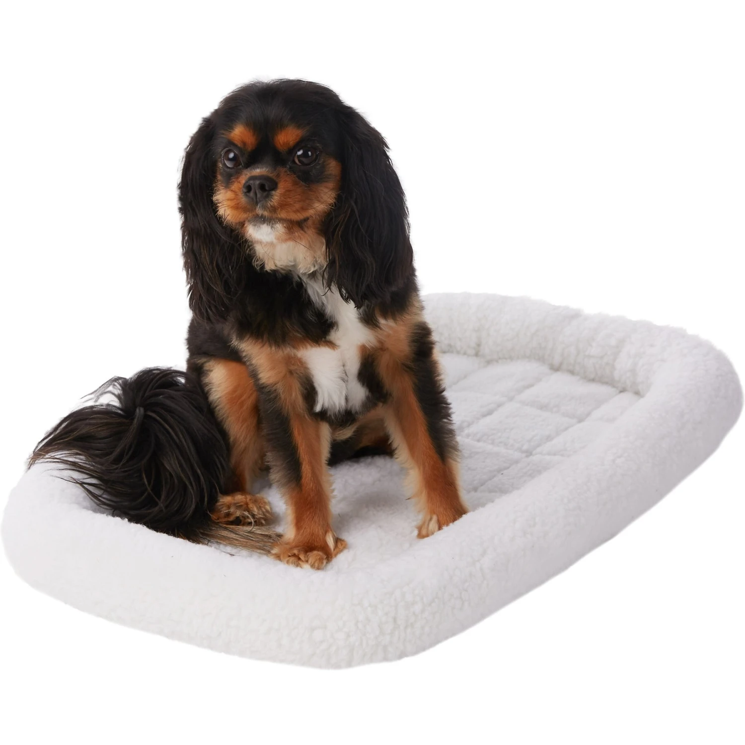 Frisco Fold & Carry Single Door Collapsible Wire Dog Crate & Frisco Quilted Dog Crate Mat 7 Frisco Fold & Carry Single Door Collapsible Wire Dog Crate & Frisco Quilted Dog Crate Mat - Image 5