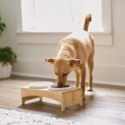 Frisco Ceramic Dog & Cat Double Diner With Elevated Wood Stand 10 Frisco Ceramic Dog & Cat Double Diner With Elevated Wood Stand -Frisco 256052 PT2. AC SS1800 V1615311142