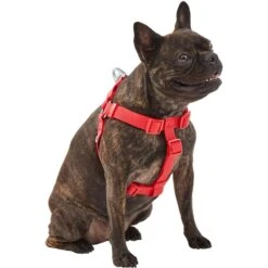 Frisco Outdoor Solid Textured Waterproof Stink Proof PVC Dog Harness 9 Frisco Outdoor Solid Textured Waterproof Stink Proof PVC Dog Harness -Frisco 256518 PT2. AC SS1800 V1625164704
