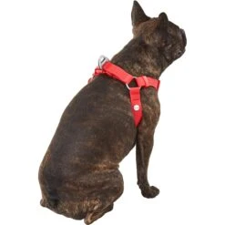 Frisco Outdoor Solid Textured Waterproof Stink Proof PVC Dog Harness 10 Frisco Outdoor Solid Textured Waterproof Stink Proof PVC Dog Harness -Frisco 256518 PT3. AC SS1800 V1625164999