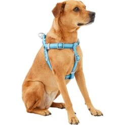 Frisco Outdoor Two Tone Waterproof Stinkproof PVC Dog Harness 9 Frisco Outdoor Two Tone Waterproof Stinkproof PVC Dog Harness -Frisco 256580 PT2. AC SS1800 V1625164701