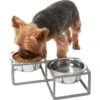 Frisco Elevated Diamond Stainless Steel Double Diner Dog & Cat Bowl 2 Frisco Elevated Diamond Stainless Steel Double Diner Dog & Cat Bowl -Frisco 257147 MAIN. AC SS1800 V1615913790