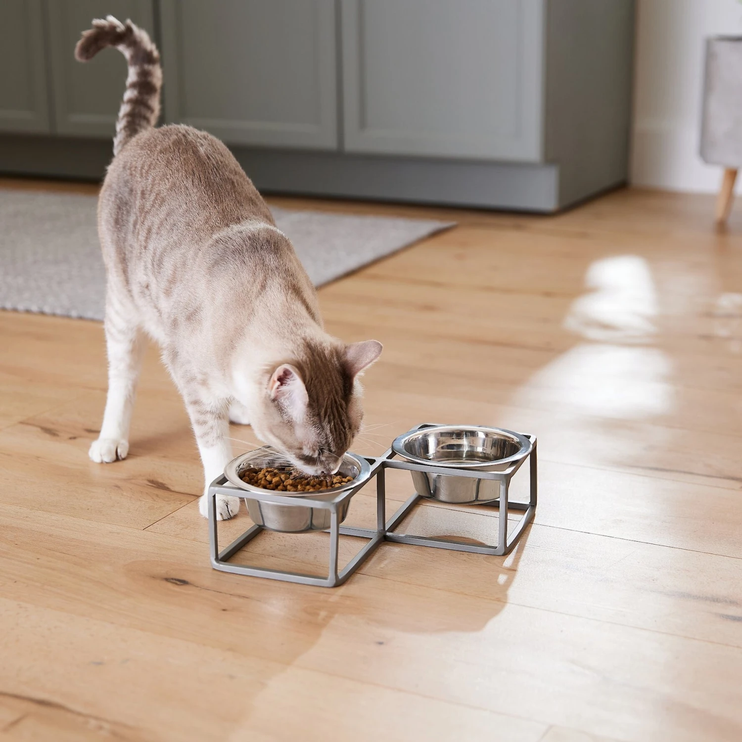 Frisco Elevated Diamond Stainless Steel Double Diner Dog & Cat Bowl 8 Frisco Elevated Diamond Stainless Steel Double Diner Dog & Cat Bowl - Image 6