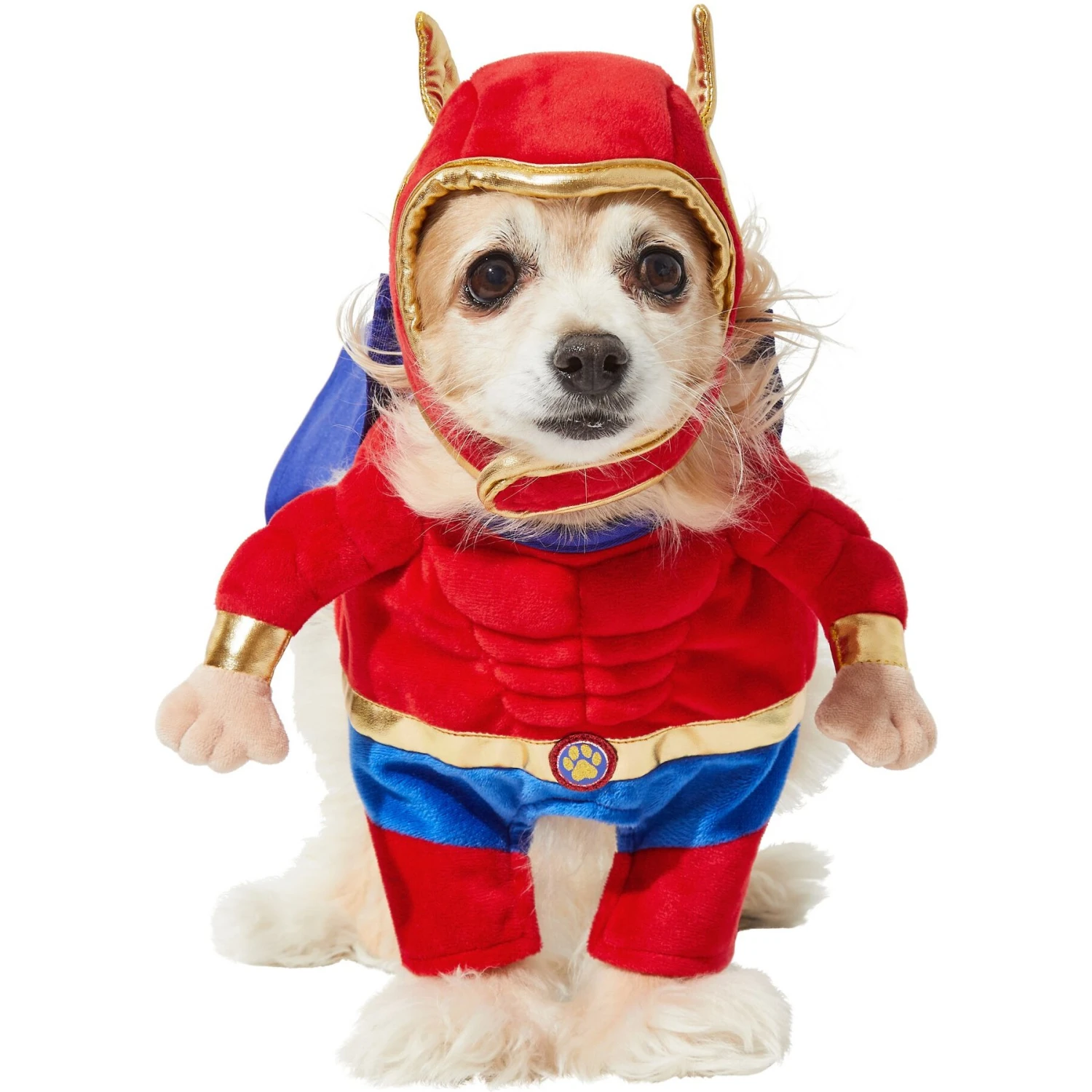 Frisco Front Walking Superhero Dog & Cat Costume 3 Frisco Front Walking Superhero Dog & Cat Costume