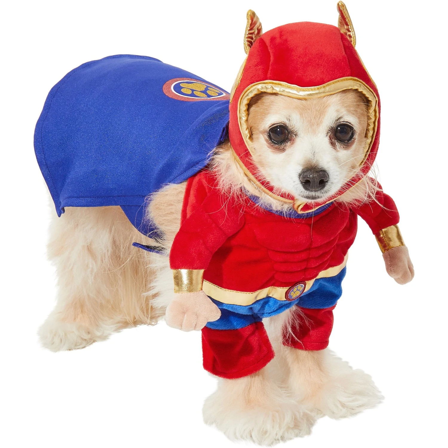 Frisco Front Walking Superhero Dog & Cat Costume 6 Frisco Front Walking Superhero Dog & Cat Costume - Image 4