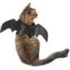 Frisco Bat Wings Dog & Cat Costume -Frisco 261113 MAIN. AC SS1800 V1625076458