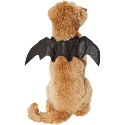 Frisco Bat Wings Dog & Cat Costume -Frisco 261113 PT2. AC SS1800 V1625077070