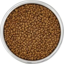 Frisco Insulated Non-Skid Flair Stainless Steel Dog & Cat Bowl 15 Frisco Insulated Non-Skid Flair Stainless Steel Dog & Cat Bowl -Frisco 261753 PT4. AC SS1800 V1623937583