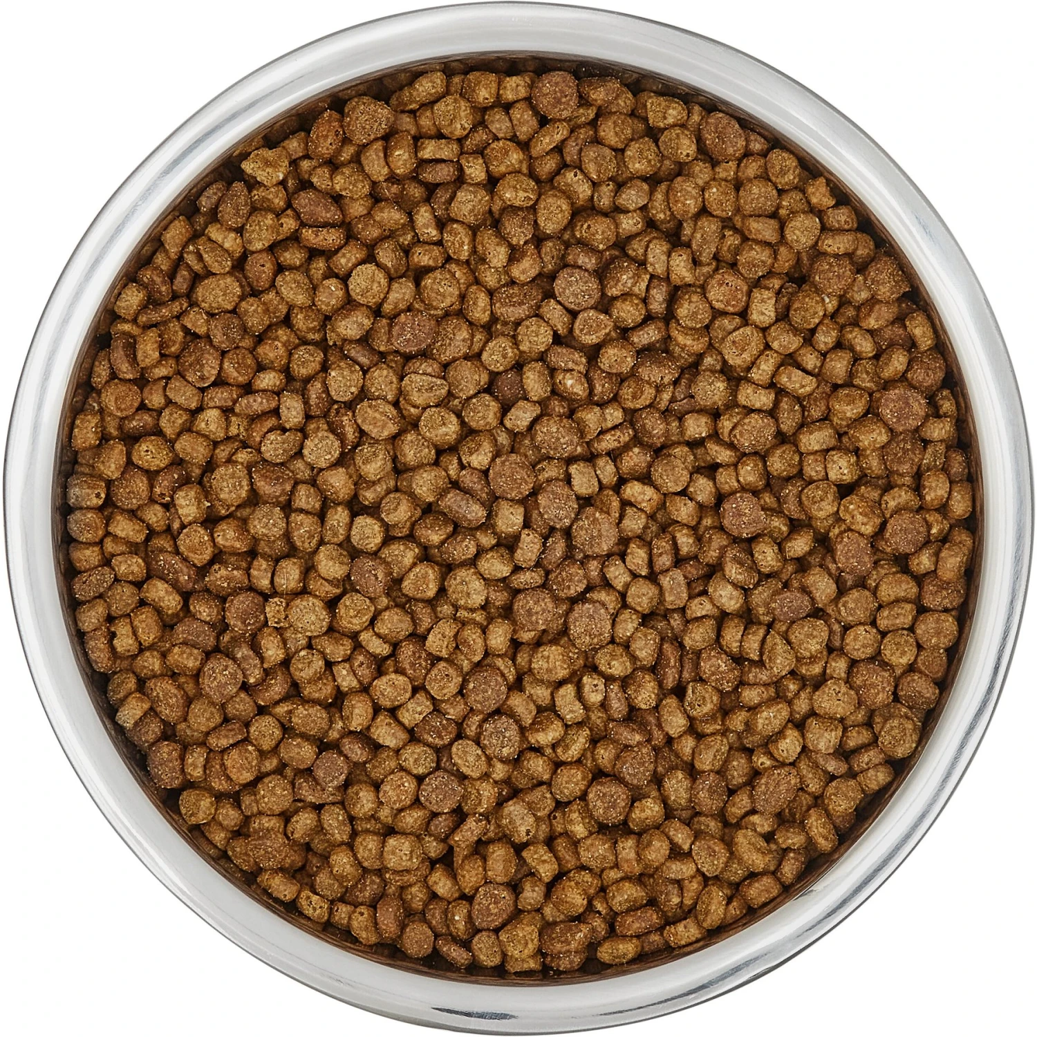 Frisco Insulated Non-Skid Flair Stainless Steel Dog & Cat Bowl 7 Frisco Insulated Non-Skid Flair Stainless Steel Dog & Cat Bowl - Image 5