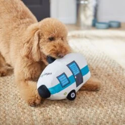 Frisco Road Trip Happy Camper Plush Squeaky Dog Toy 9 Frisco Road Trip Happy Camper Plush Squeaky Dog Toy -Frisco 261991 PT3. AC SS1800 V1618598545