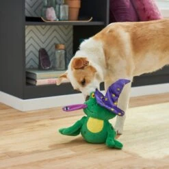 Frisco Magic Wizard Frog Plush Squeaky Dog Toy 7 Frisco Magic Wizard Frog Plush Squeaky Dog Toy -Frisco 265588 PT3. AC SS1800 V1620939075