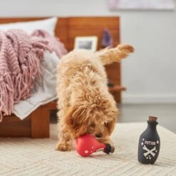 Frisco Magic Potions Latex Squeaky Dog Toy, 2 Count 7 Frisco Magic Potions Latex Squeaky Dog Toy, 2 Count -Frisco 265632 PT3. AC SS1800 V1620939021