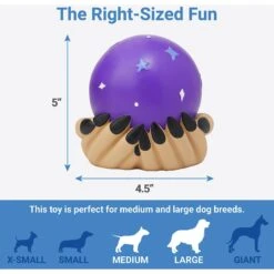 Frisco Magic Fortune Teller's Crystal Ball Latex Squeaky Dog Toy 6 Frisco Magic Fortune Teller's Crystal Ball Latex Squeaky Dog Toy -Frisco 265634 PT1. AC SS1800 V1623351758