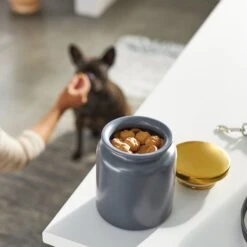 Frisco Modern Gold Rim Ceramic Treat Jar 9 Frisco Modern Gold Rim Ceramic Treat Jar -Frisco 270190 PT2. AC SS1800 V1620762371