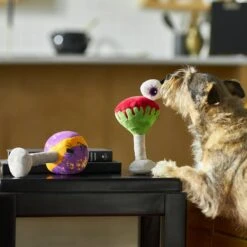 Frisco Halloween Cocktail Plush Squeaky Dog Toy 9 Frisco Halloween Cocktail Plush Squeaky Dog Toy -Frisco 270361 PT3. AC SS1800 V1624817495