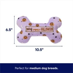 Frisco Halloween My First Halloween Bone Reversible Plush Squeaky Dog Toy 9 Frisco Halloween My First Halloween Bone Reversible Plush Squeaky Dog Toy -Frisco 270452 PT1. AC SS1800 V1689878050