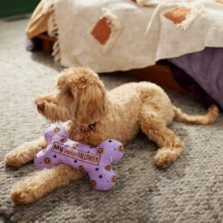 Frisco Halloween My First Halloween Bone Reversible Plush Squeaky Dog Toy 11 Frisco Halloween My First Halloween Bone Reversible Plush Squeaky Dog Toy -Frisco 270452 PT3. AC SS1800 V1624817314