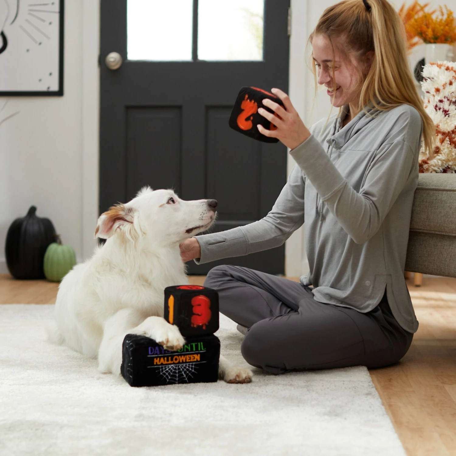 Frisco Halloween 30 Days Of Halloween Countdown Blocks Plush Squeaky Dog Toy 5 Frisco Halloween 30 Days Of Halloween Countdown Blocks Plush Squeaky Dog Toy - Image 3