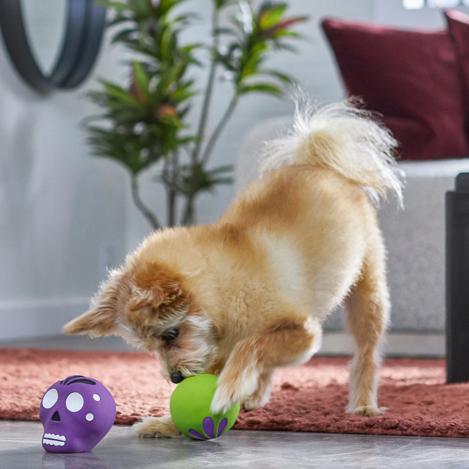 Frisco Halloween Sugar Skulls Latex Squeaky Dog Toy 4 Frisco Halloween Sugar Skulls Latex Squeaky Dog Toy - Image 3