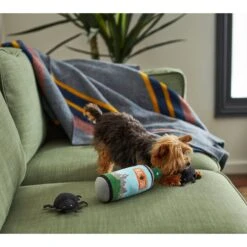 Frisco Camping Bug Spray Plush Squeaky Dog Toy, 3 Count 7 Frisco Camping Bug Spray Plush Squeaky Dog Toy, 3 Count -Frisco 270989 PT3. AC SS1800 V1625009020