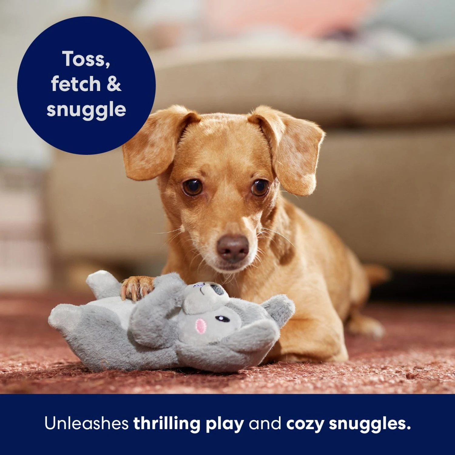 Frisco Camping Squirrel Plush Squeaky Dog Toy 7 Frisco Camping Squirrel Plush Squeaky Dog Toy - Image 5