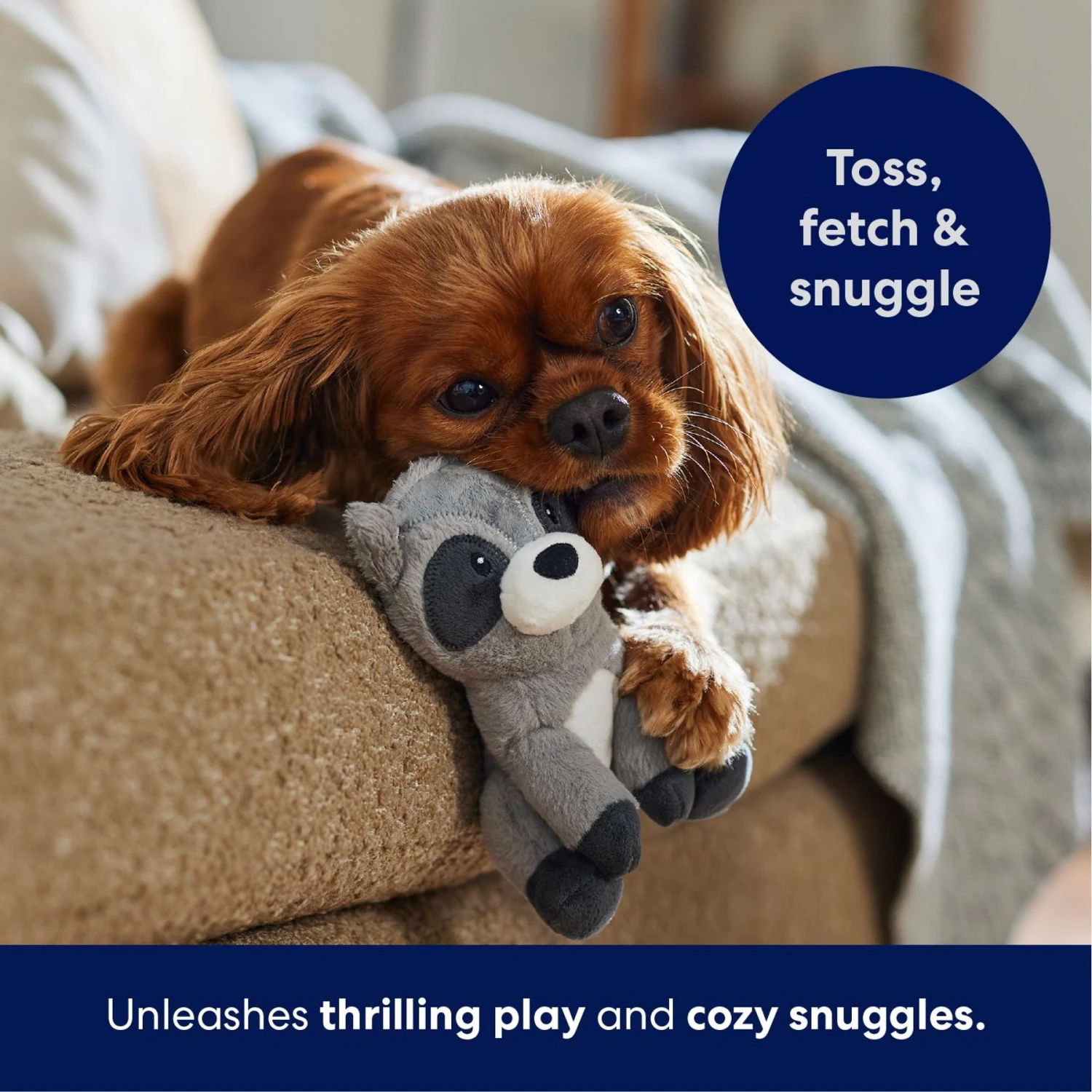 Frisco Camping Raccoon Plush Squeaky Dog Toy 7 Frisco Camping Raccoon Plush Squeaky Dog Toy - Image 5