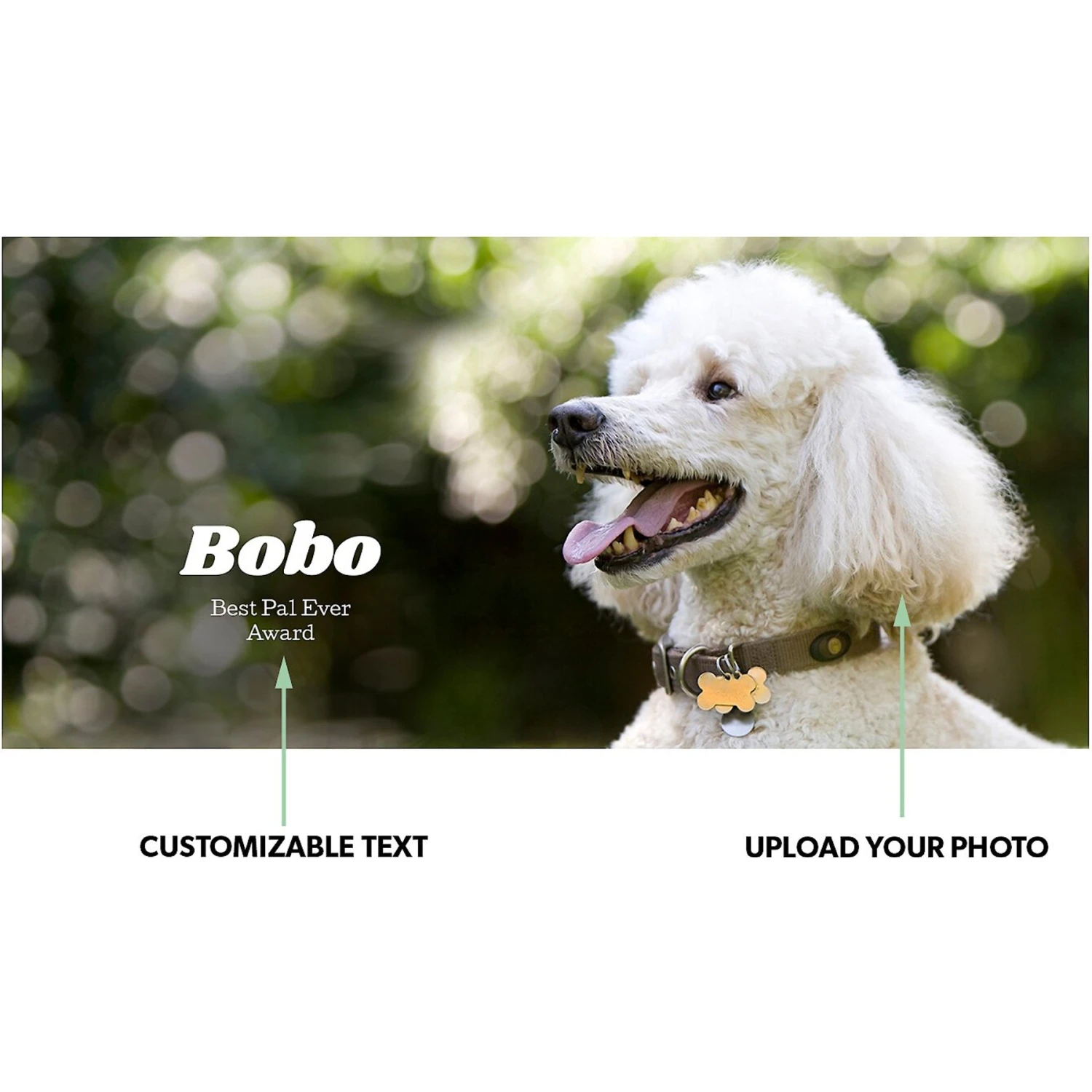 Frisco Basic Insulated Stainless Steel Personalized Mug, 10-oz 4 Frisco Basic Insulated Stainless Steel Personalized Mug, 10-oz - Image 2